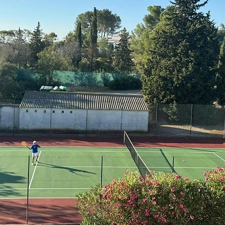 Quinta Da Felicidade, Casa Estrela Guia  Kültér fotó